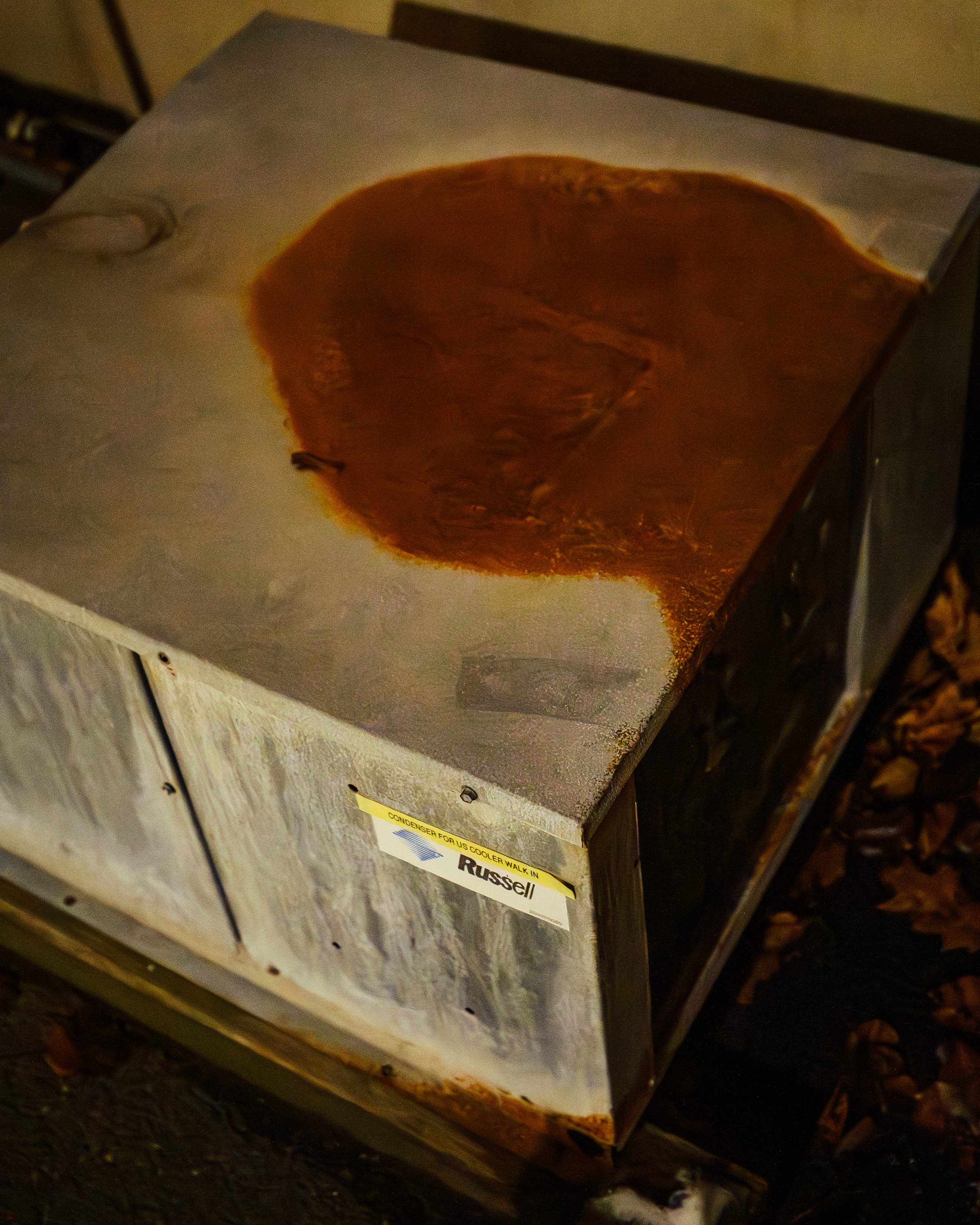 The top of a walk-in cooler condenser, its steel lid stained through with a wide bloom of rust, dead leaves at its base.
