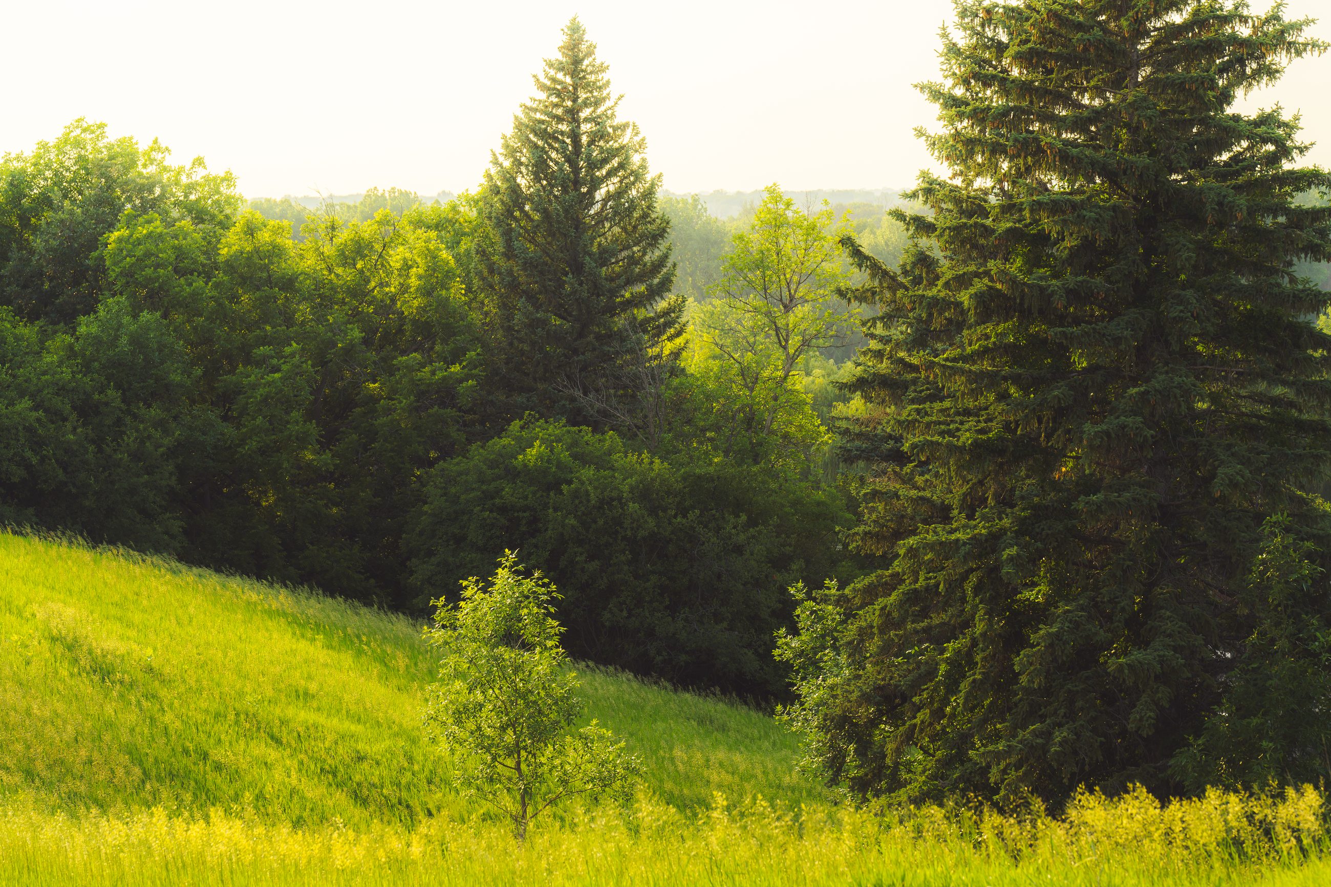 Landscape & Nature, frame 5 of 11.