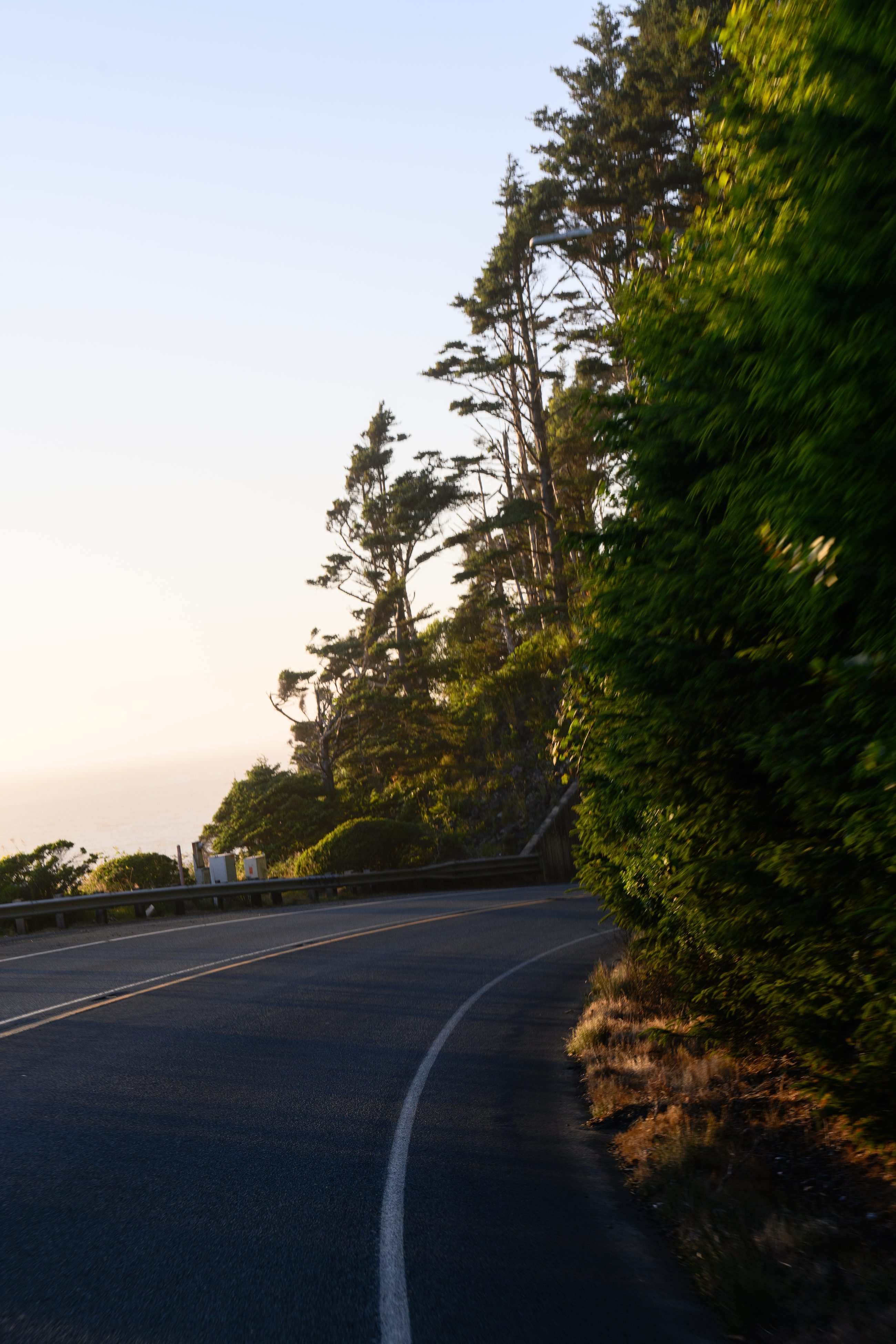 Landscape & Nature, frame 9 of 11.