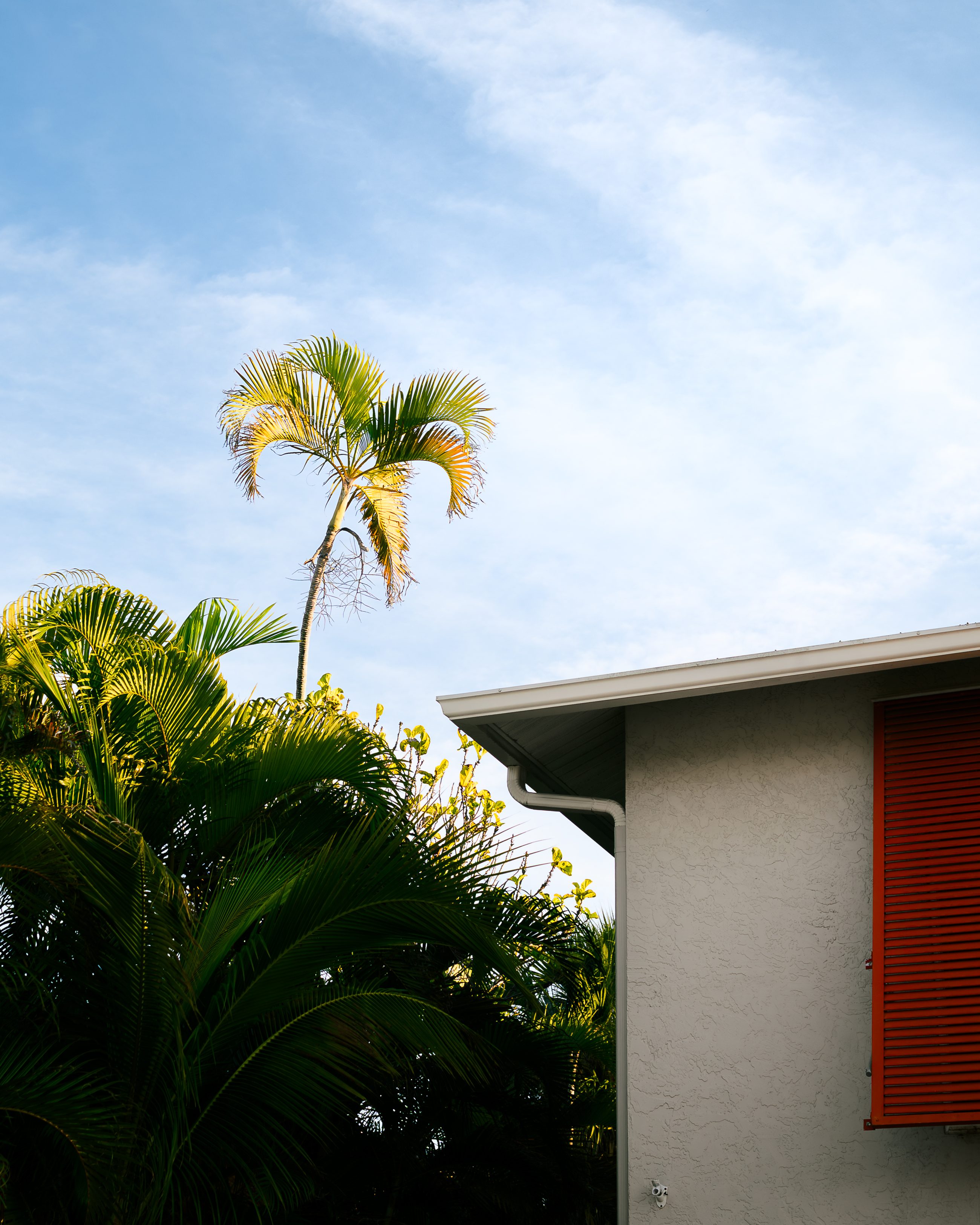 Landscape & Nature, frame 11 of 11.